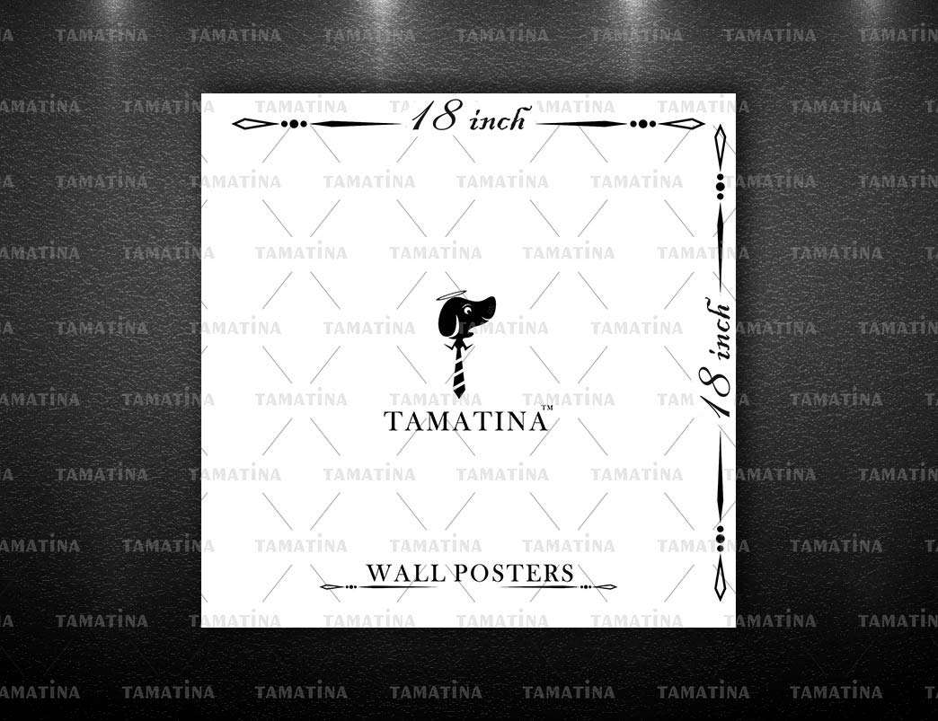 Tamatina Wall Posters | Educational Posters | Geography | India Map | Study | School | College | Laminated | Tearproof |Size-45X45 cms.a4852 2