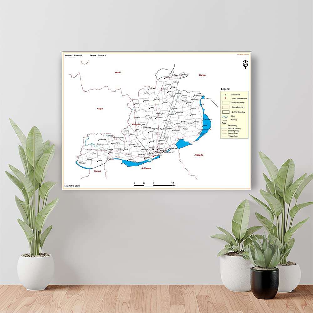wallpics® Bharuch DISTRICT Bharuch TALUKA Map Waterproof Vinyl Sticker Poster use for study purpose (60 cm X 45 cm) can2616-2 1
