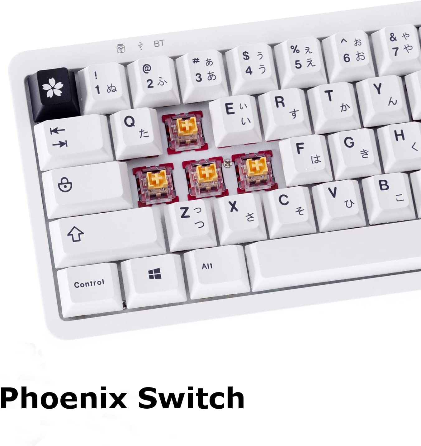 GK GAMAKAY Silent Linear Mechanical Keyboard Switch, 70Pcs/Pack Phoenix Switch 3 Pin Switches for LK67 CK61 CK68 DIY Mechanical Gaming Keyboards (Phoenix Switch-70Pcs) 4