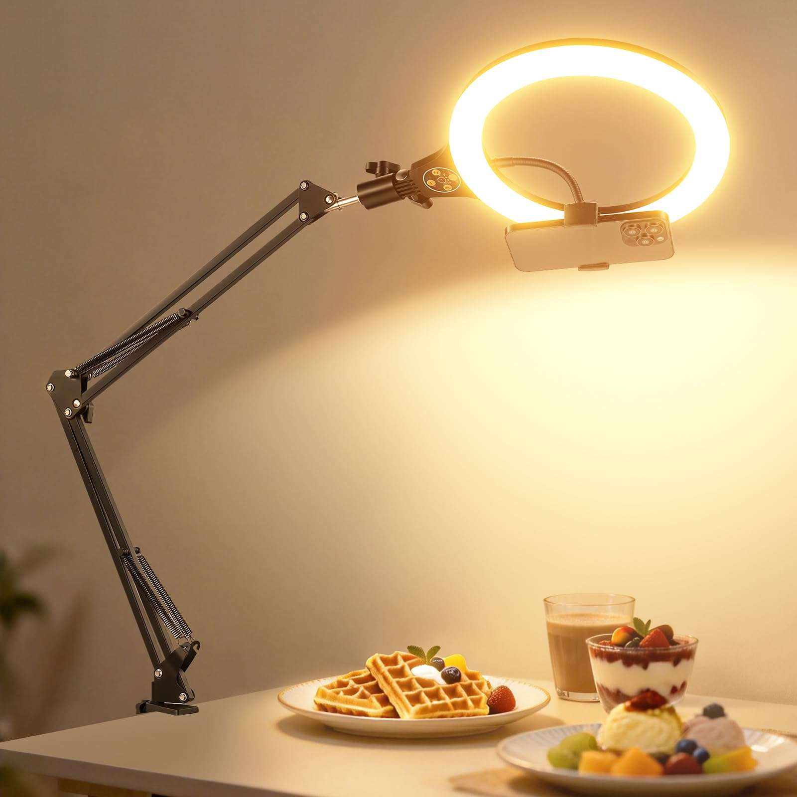 NEEWER Entry Level Version 10.5" Overhead Desktop LED Ring Light, Clamp Stand for Desk/Remote/Phone Holder Compatible with iPhone, 10W Streaming Recording Selfie Laptop Video Conference Lighting, N31 1