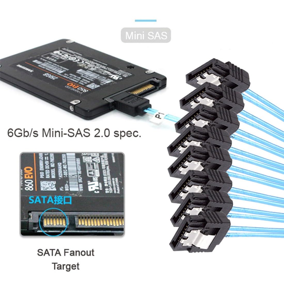 chenyang SlimSAS Host/RAID to SATA Target Cable,Slim SAS 4.0 SFF-8654 8i 74Pin 1 to 8 SATA 7Pin Raid Controller/Hard Drive Cable 3.28FT/1.0M 6