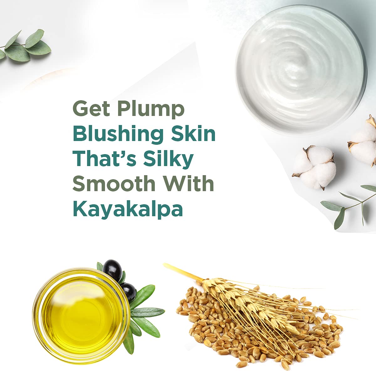 SSCPL Herbals Kayakalpa Moisturising Cream Enriched With Olive, Sesame & Wheatgerm Oil For Daily Skin Nourishment Ideal For All Skin Types (50g) (Pack of 2) 4