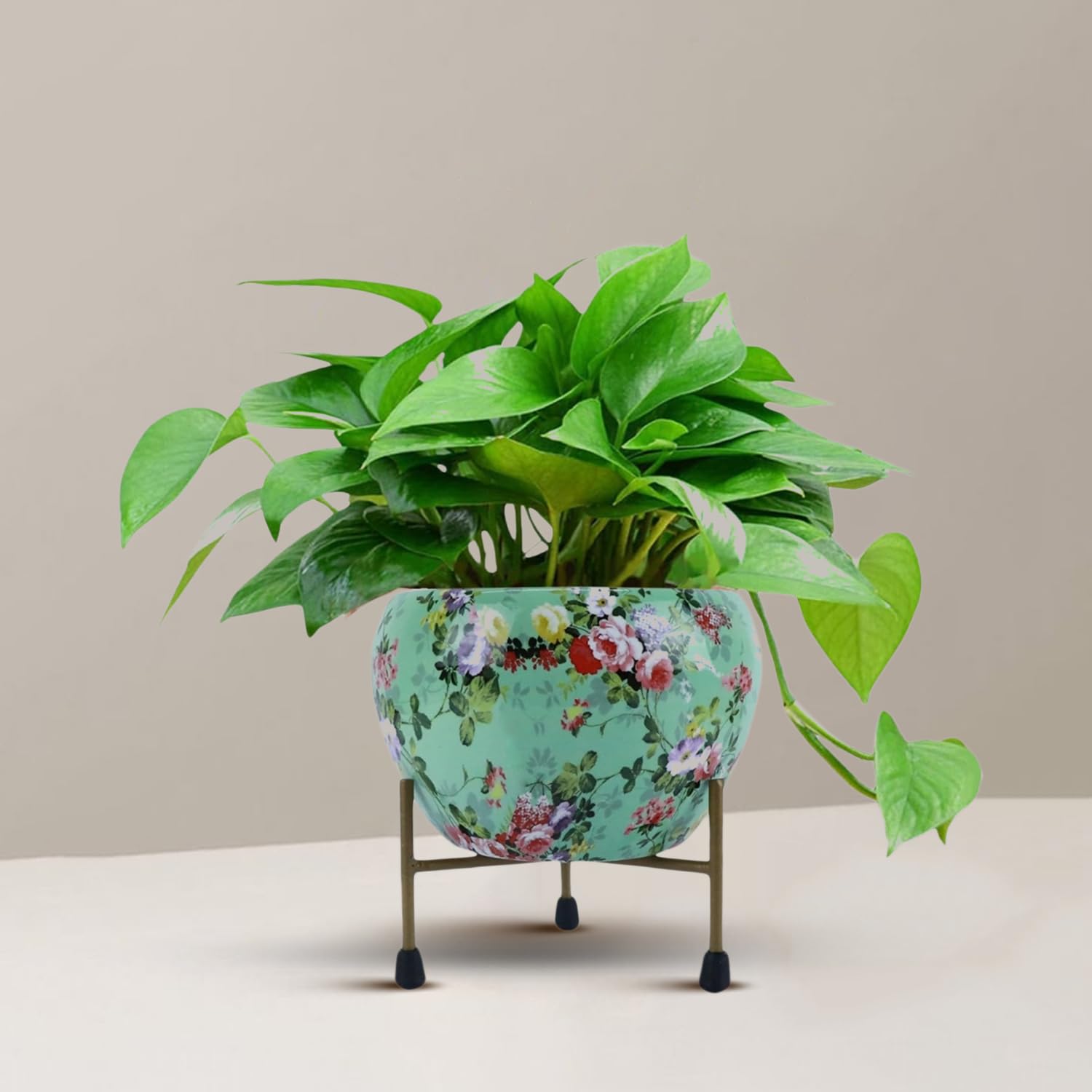 CINAGRO Metal Flower Vase Planter Pot with Iron Stand, Pots for Plants, Plant Pots for Home Decoration, Succulent Pot, Indoor Planter Balcony Garden Decor (Size: 6X6 inch) Style: Blossom Breeze 3