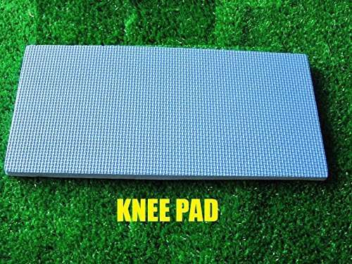 SKYFUN (LABEL) Home Gym Adjustable Core Abdominal Stomach Exercise Workout Abs Double Wheel Roller Fitness Exerciser Equipment With Knee Mat-Blue 6