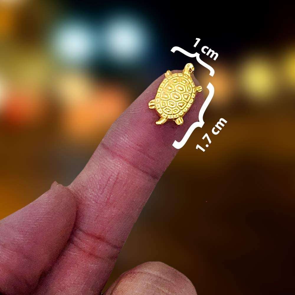 Divya Mantra Japanese Lucky Charm Money Feng Shui Turtles Home Decor 2 Pairs & Tibetan Buddhist Himalayan Nepali Positive Vibes 3 Feet Prayer Flags for Motorbike/Car Hanging Accessories - Multicolor 5