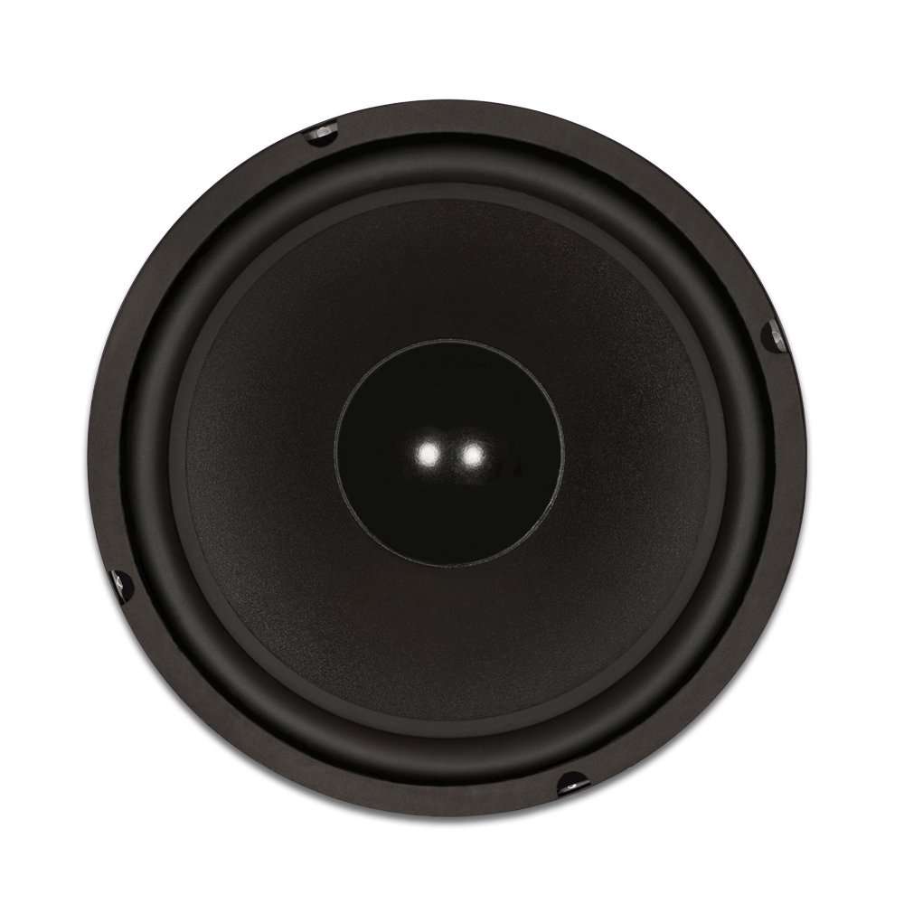 Goldwood Sound GW-1038 Rubber Surround 10" Woofer 250 Watts 8ohm Replacement Speaker 3