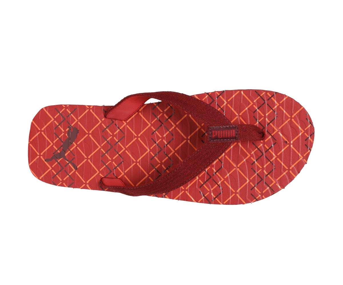 Puma Unisex Pomegranate-Ribbon Red-Shocking Orange Flip Flops Thong Sandals - 9 UK/India (43 EU)(4059507808264) 1