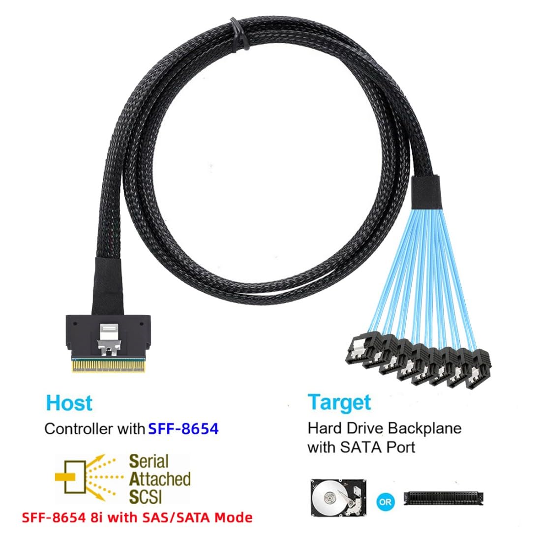 chenyang SlimSAS Host/RAID to SATA Target Cable,Slim SAS 4.0 SFF-8654 8i 74Pin 1 to 8 SATA 7Pin Raid Controller/Hard Drive Cable 3.28FT/1.0M 4