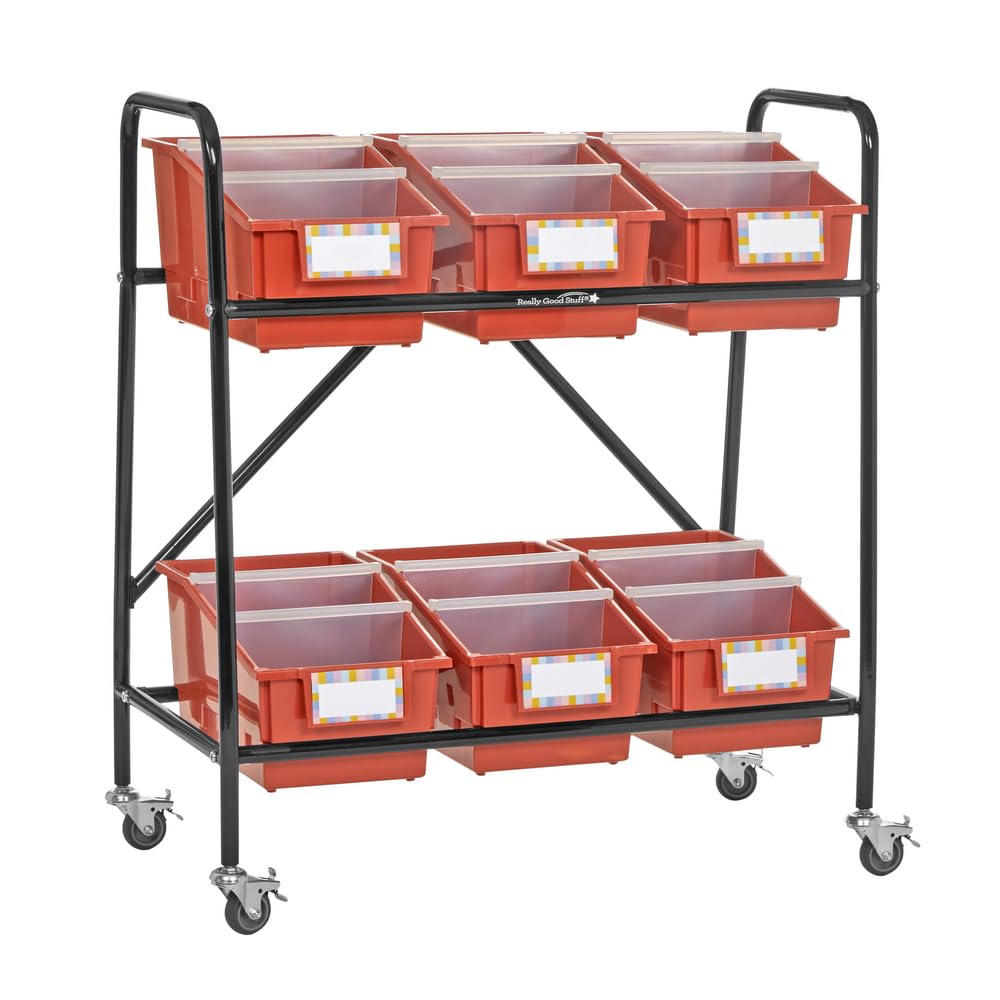 Mid-Size Mobile Storage Rack with Chapter Book Bins? - 1 Rack, 6 Bins