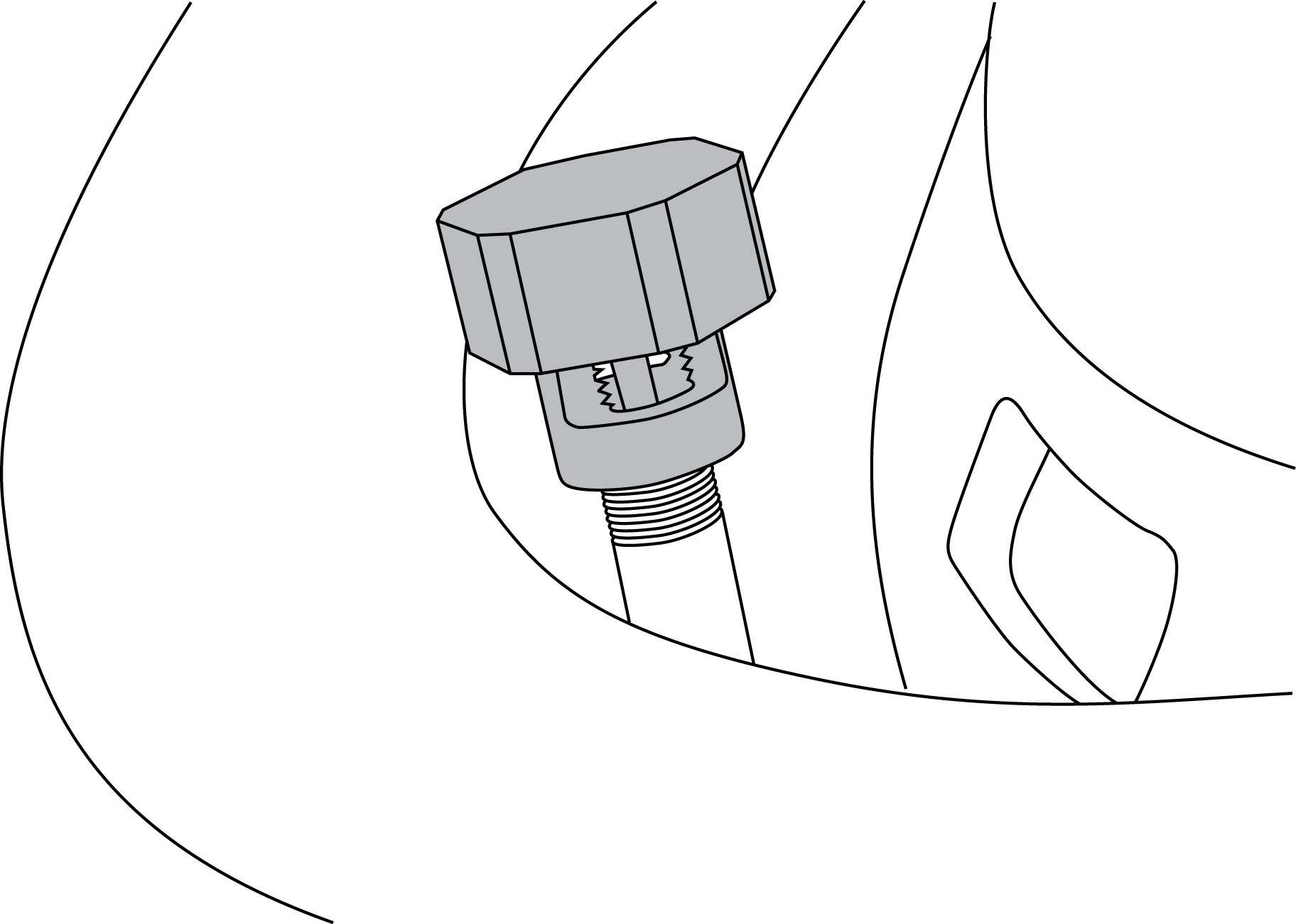 Lisle 19860 Tire Deflator 2