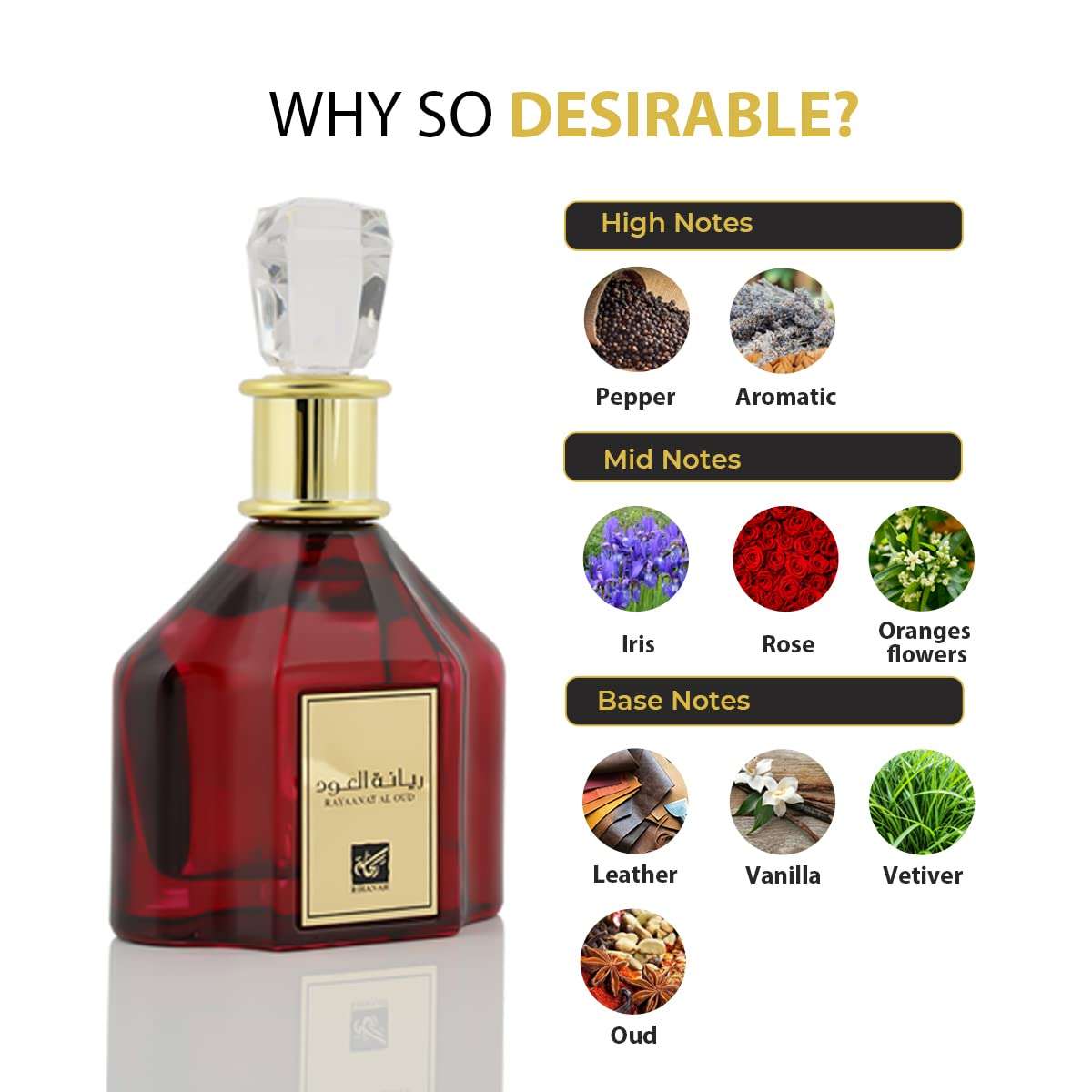 RIHANAH Rayaanat Al Oud EDP Perfume 100ml for Men 4