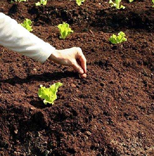 Organic Compost Cow Dung Manure 150 gm 3