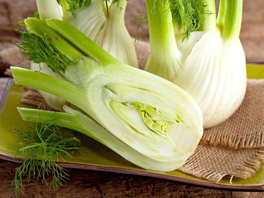 Ritz Farming� IMP. Fennel Florence Herb Seeds For Outdoor And Indoor Garden ( 70 SEEDS ) 4