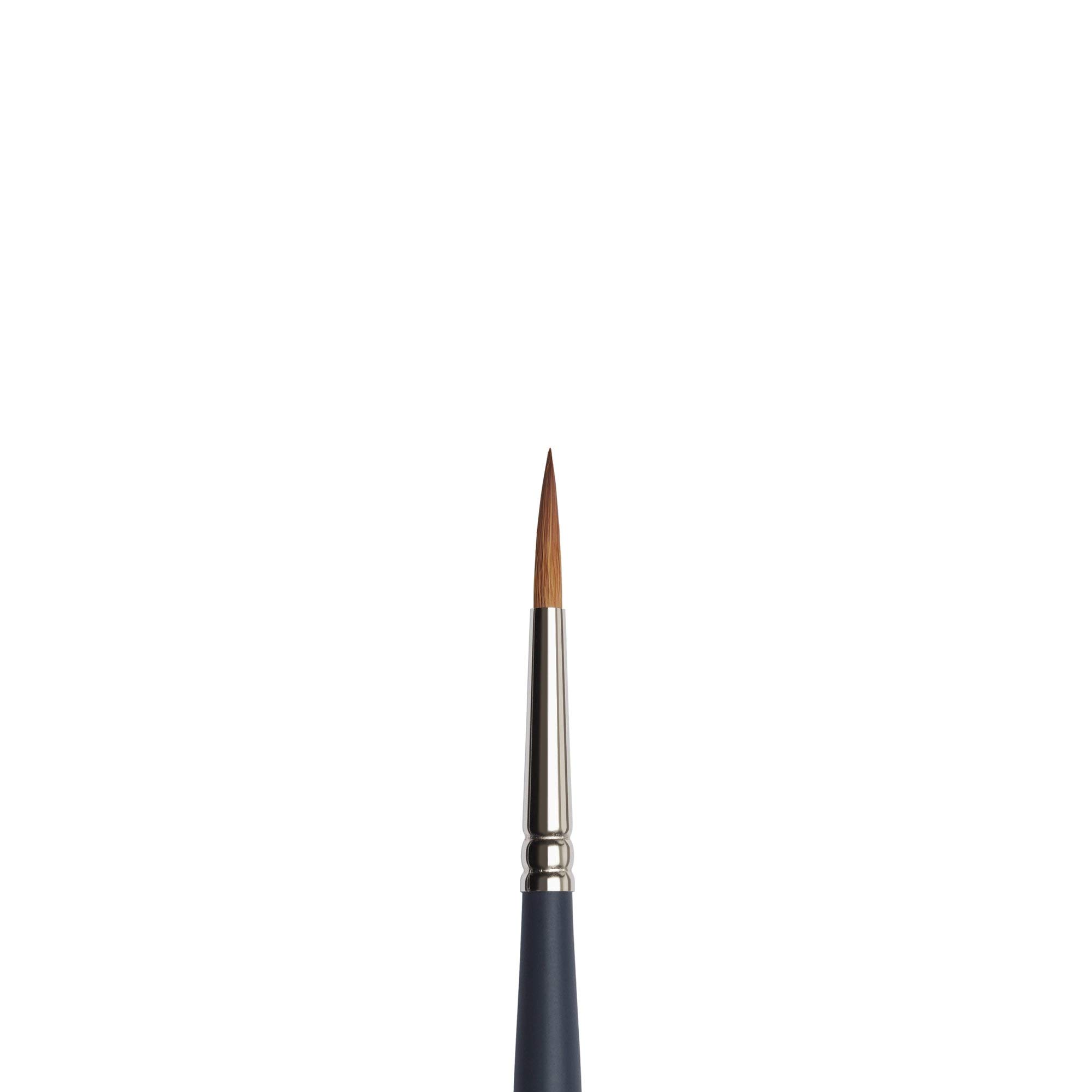 Winsor & Newton Professional Water Colour Synthetic Sable Hair Brush - Round - Short Handle - Size - 6 3