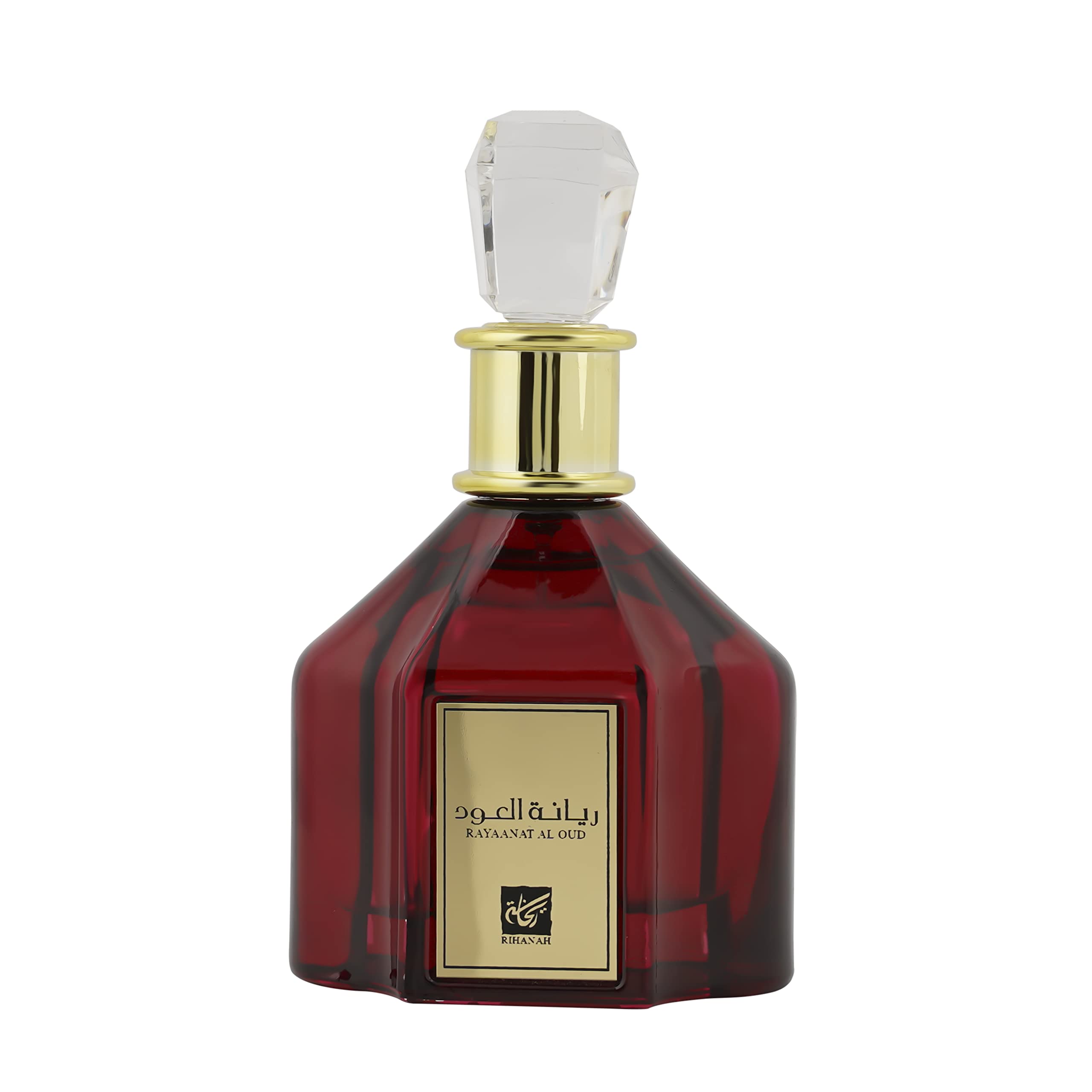 RIHANAH Rayaanat Al Oud EDP Perfume 100ml for Men 2