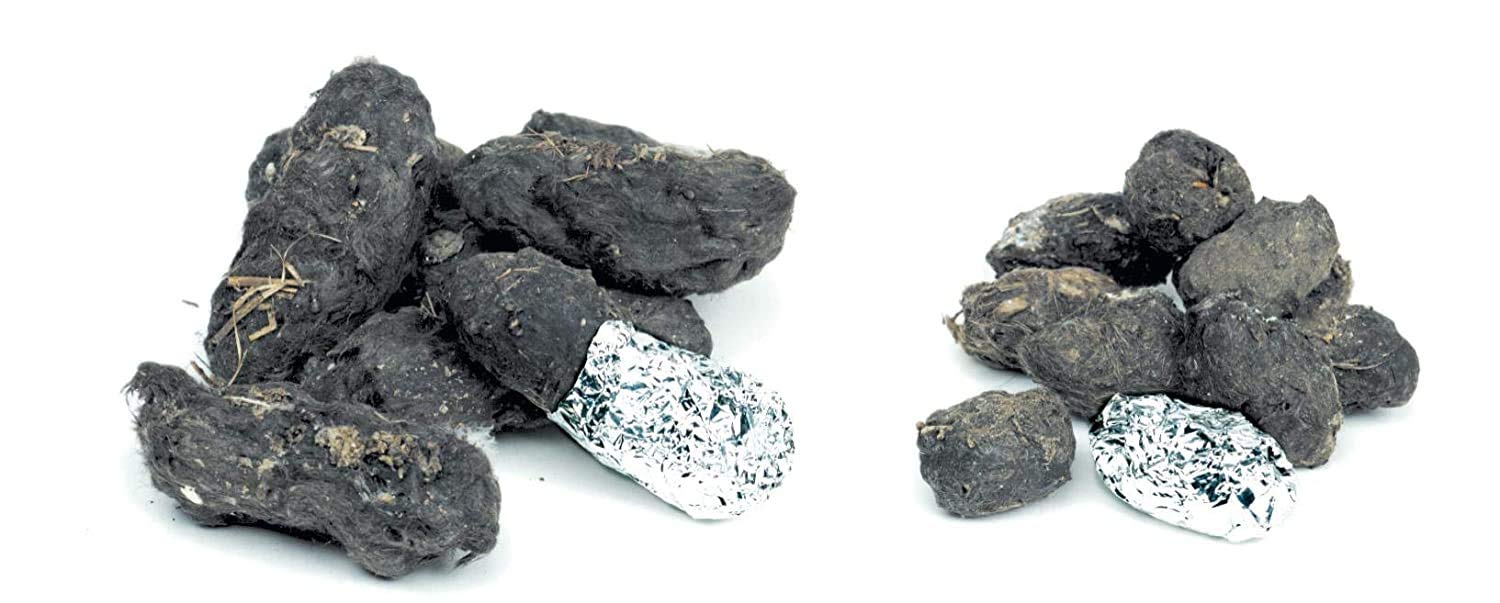 Barn Owl Pellet Classroom Kit 3