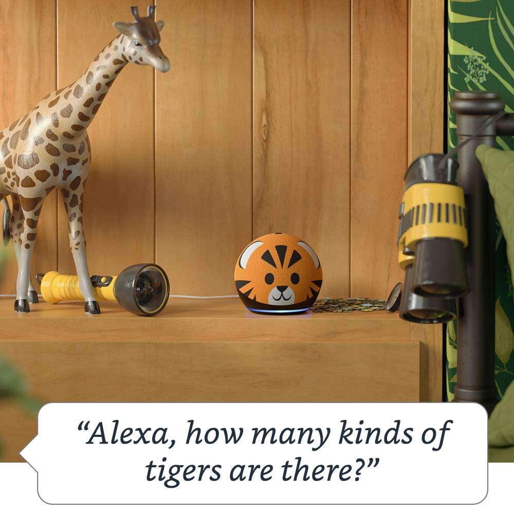 Echo Dot (4th Gen, 2020 release) Kids | Designed for kids, with parental controls | Panda 3