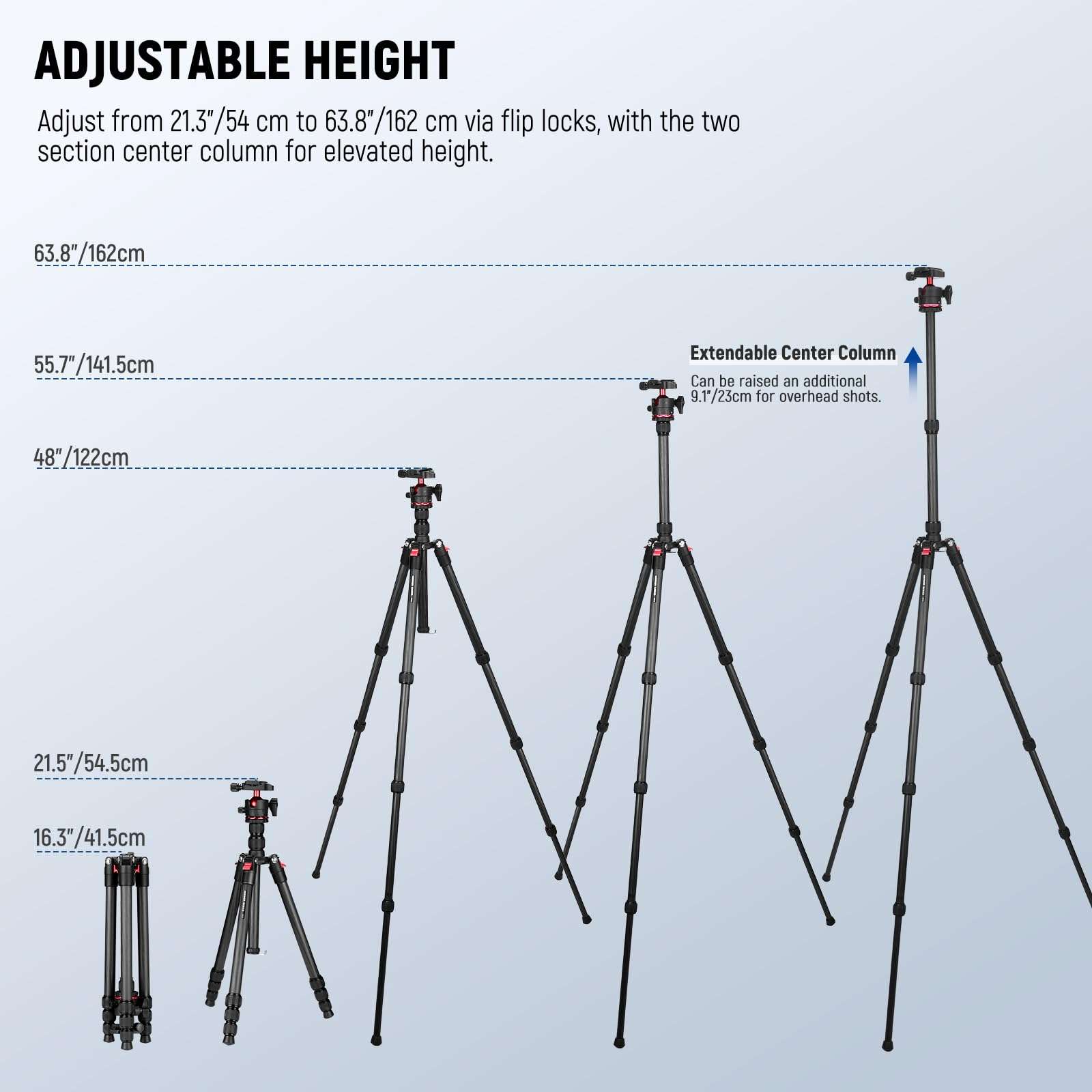NEEWER Basics Carbon Fiber Travel Tripod, 64" Compact Lightweight Portable Camera Video Stand, Arca Type Ball Head & Cell Phone Holder Compatible with iPhone Video Recording, Max Load 13.2 lbs, TP17 4