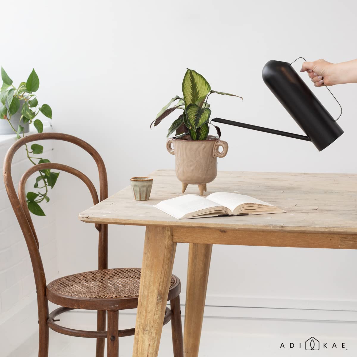 Watering Can with Long Spout - 50 Ounce Black - Large Water Can - House/Indoor Plant 4