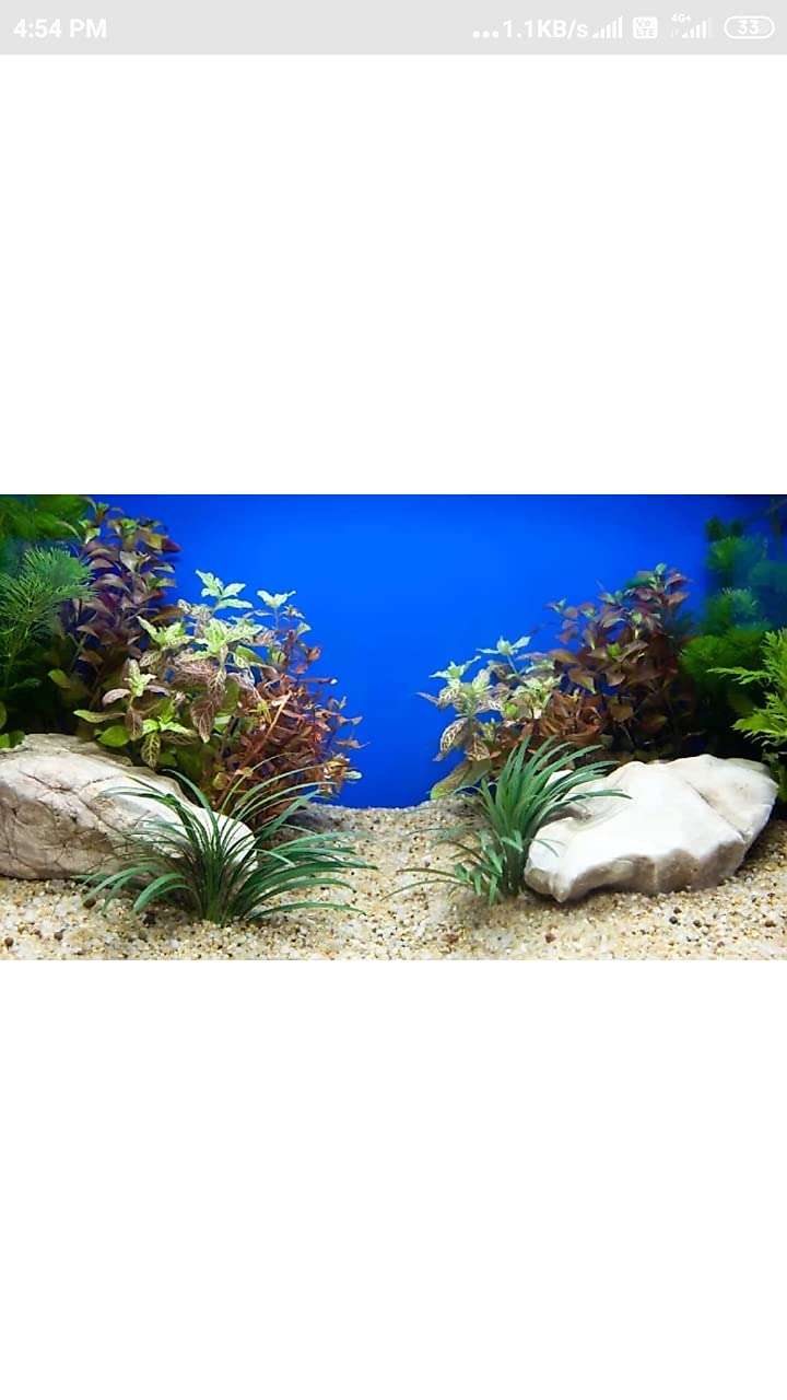 Jagmagahat Natural Sand Reti and Organic River Sand Multi Purpose 3kg from Kaveri Pure for Lawn, Garden, Plants, Fish Pot and Aquarium River Sand 5