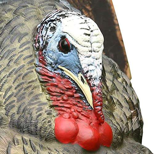 Avian-X Strutter Lifelike Collapsible Decoy LCD Folding Tom Turkey Hunting Decoy with Carrying Case, 24 Inch Stake, and Realistic Paint Detailing 2