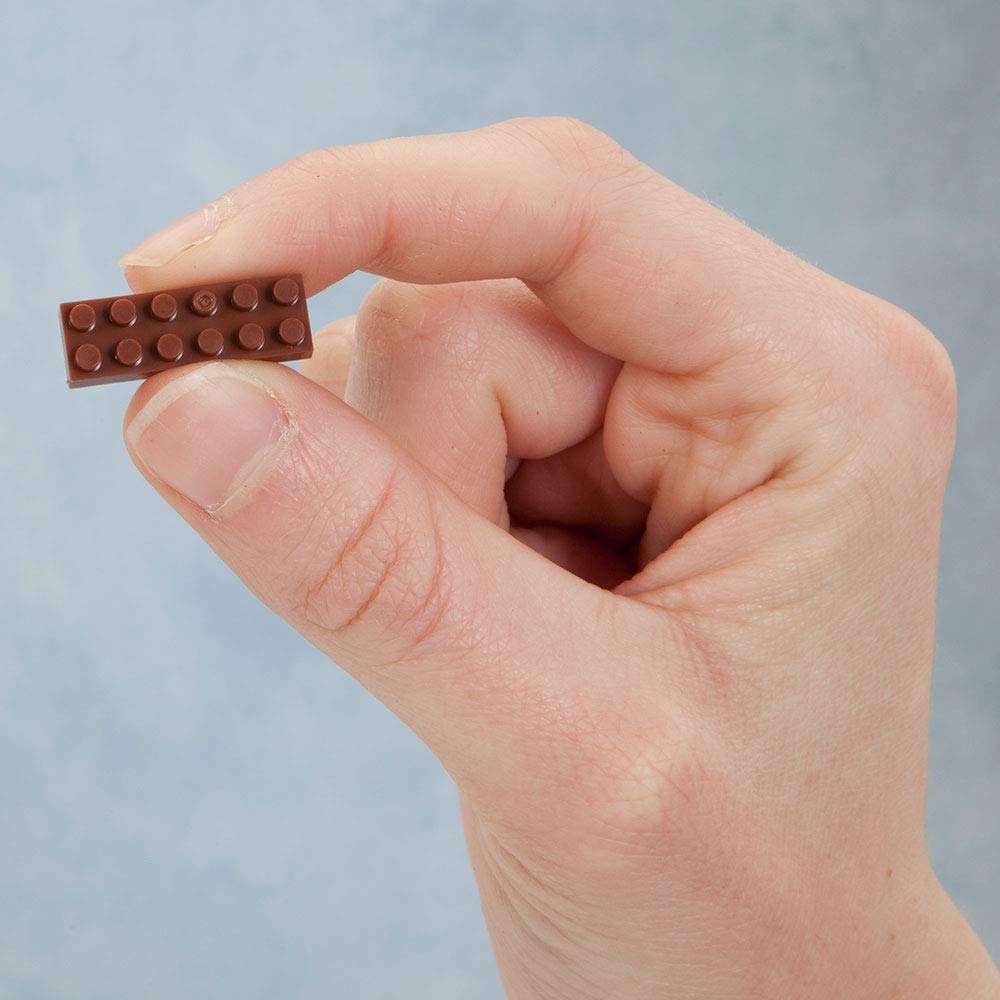 Bits and Pieces - Dachshund 3-D Block Puzzle - Dog Breed Building Blocks - 898 Piece Construction Model Set 6