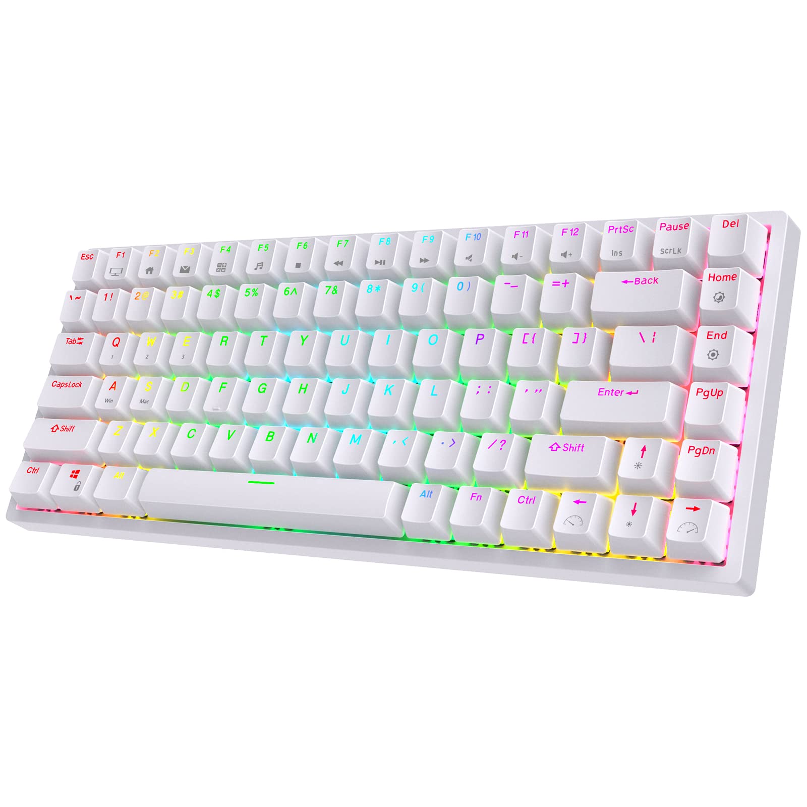 RK ROYAL KLUDGE RK84 Wireless RGB 75% Triple Mode BT5.0/2.4G/USB-C Hot Swappable Mechanical Keyboard, 84 Keys Wireless Gaming Keyboard w/High-Capacity Battery, Clicky Blue Switch
