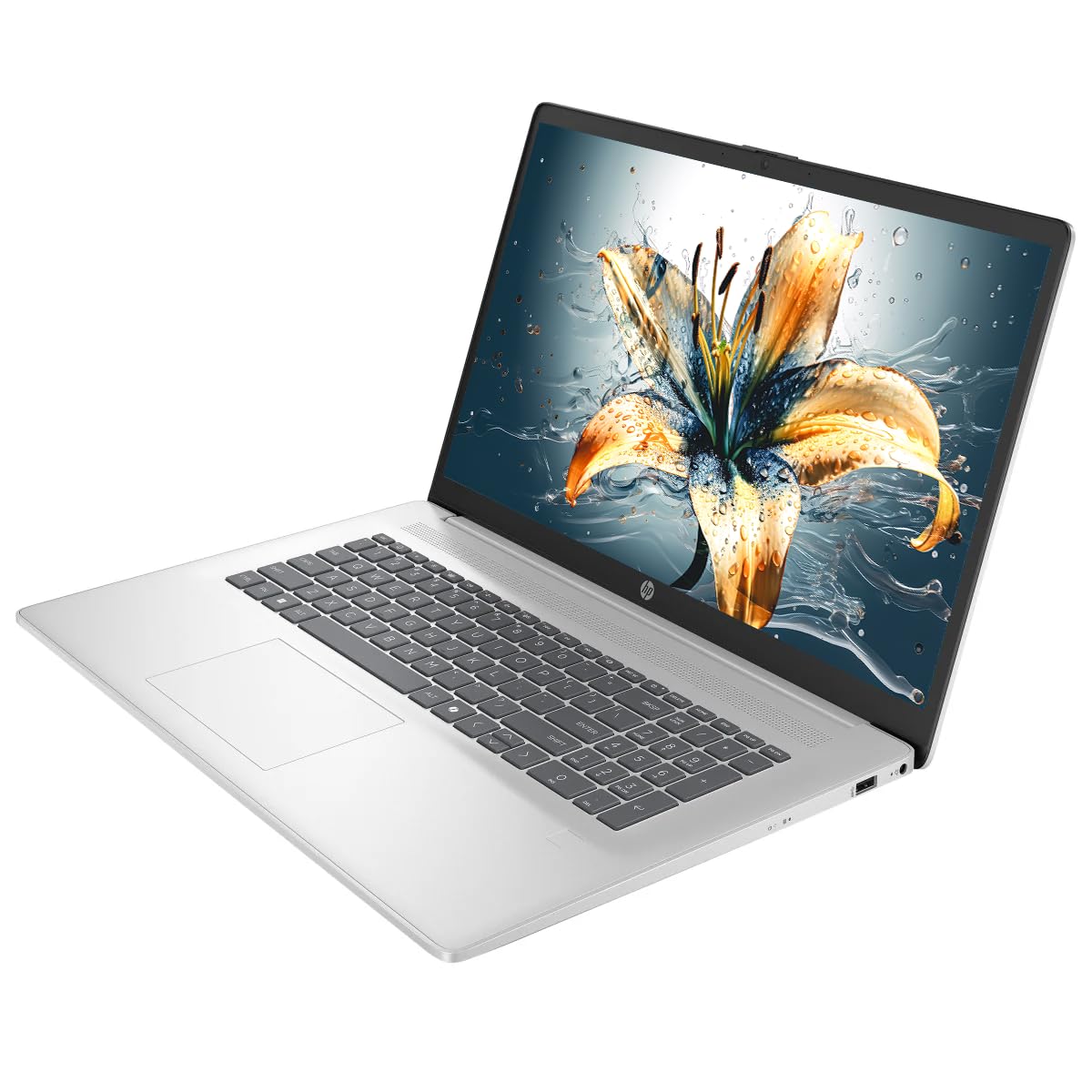 HP 17 Laptop, 17.3" HD+ LED Anti-Glare Touchscreen Business Laptop Computer, Windows 11 Laptop 32GB RAM 1TB SSD, AMD Ryzen 5 Processor, AMD Radeon Graphics, Numeric Keypad, NLY Earphones, Silver 4