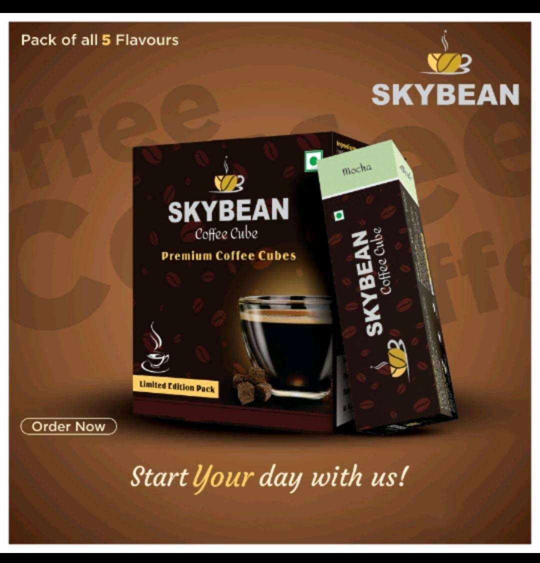 SKYBEAN Combo Pack Mocha + Mocha + Cappuccino Coffee Cube - 100g each Pack 100% Pure Coffee, Suitable for Hot & Cold Coffee Drink 3