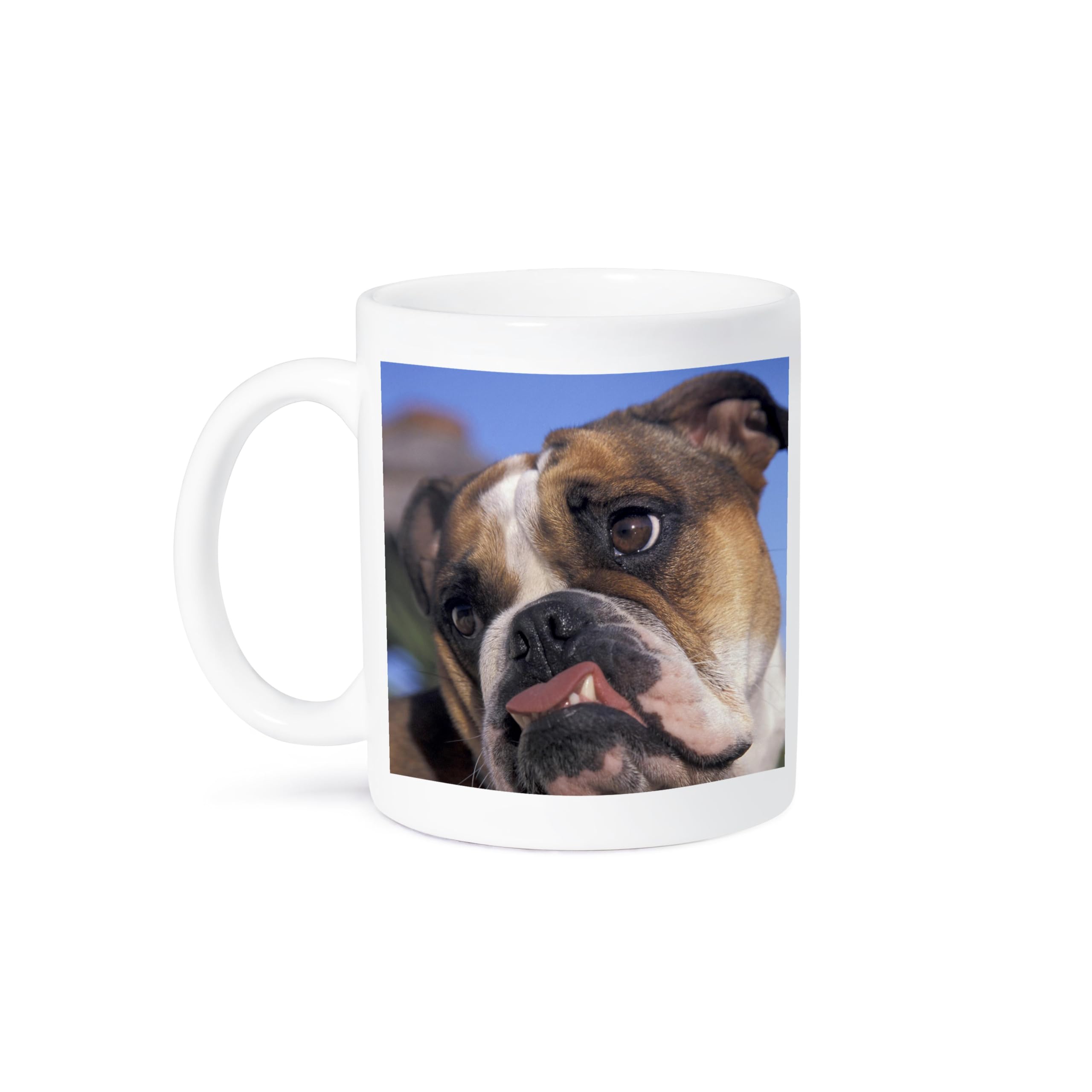 3dRose English Bulldog - NA02 MWE0138 - Michele Westmorland 15oz Mug 1