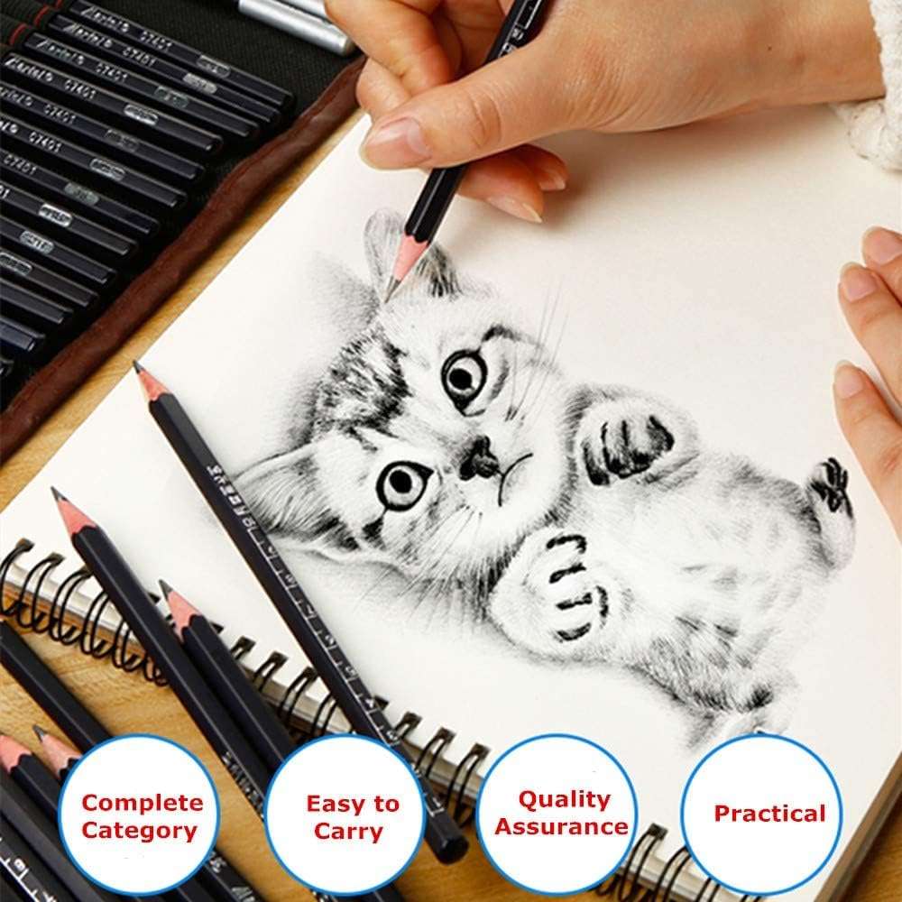 BITTZOOT Drawing Sketching Pencil Set,29-Piece Complete Artist Kit Includes Graphite Pencils,Includes Graphite Pencils,Charcoal Pencils, Paper Erasable Pen, Sketch Pencils Set for Drawing (29 PCS SET) 6