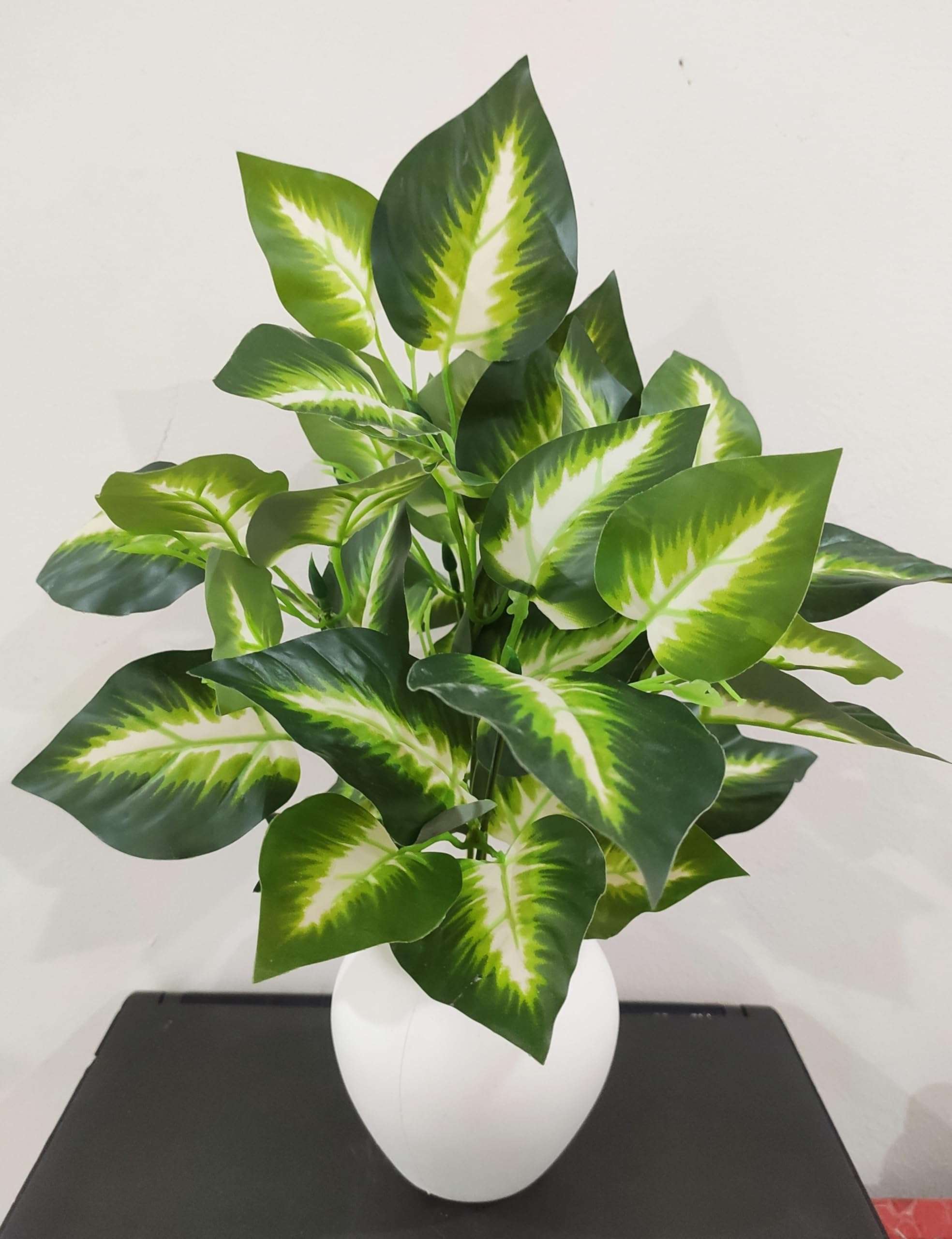 BAARIG Natural Looking Artificial Money Plant/Tree with Pot | Ornamental Plant for Interior Decor | Home/Shop/Office Décor (Green-White) 3