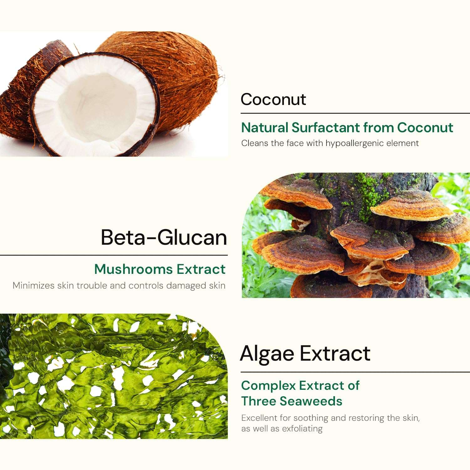 PINESOO Red Pine Acne Cleansing Foam, Daily Face Cleanser120ml 5