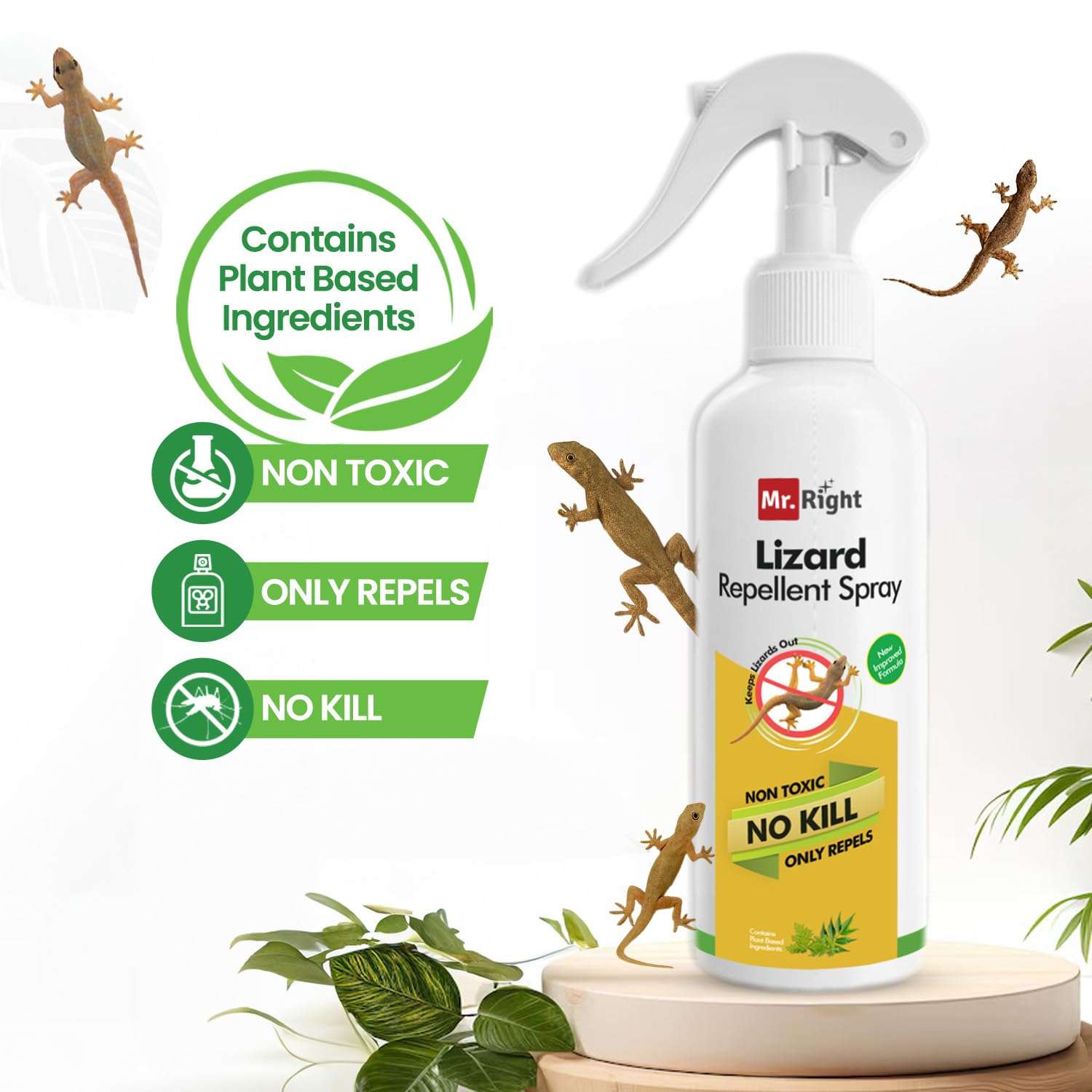 Mr. Right Herbal Lizard Repellent Spray (200 ml) 4