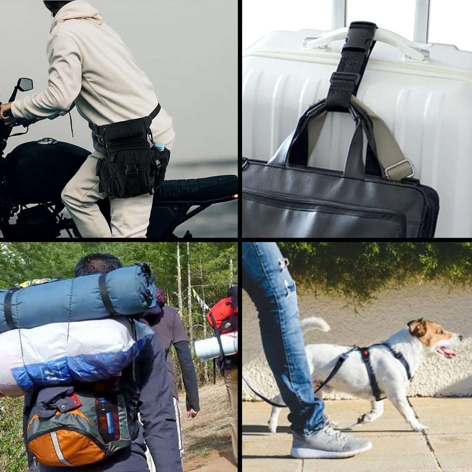 Clickers Art Nylon/Canvas Webbing or Flat Strip Wide for Collars, Leashes, Diving Gear, Sports Gear, Bag Belt, Hiking (Pack of 1) (Width - 0.5 Inch, 10 Meter) 5