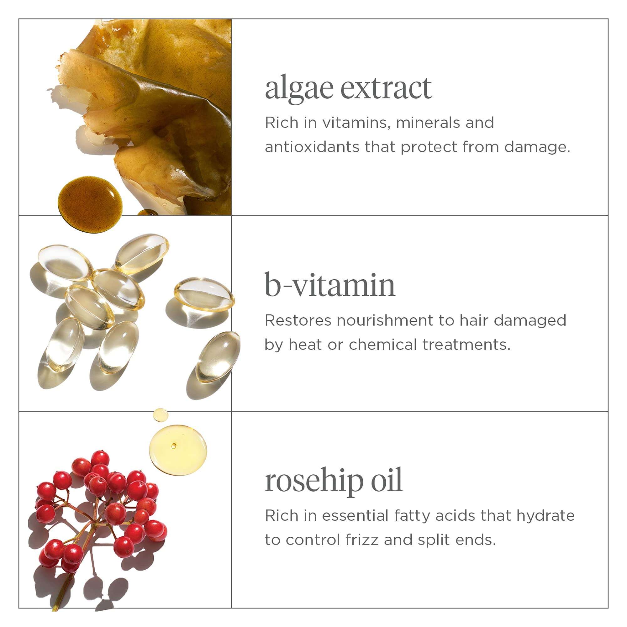 Briogeo - Don't Despair, Repair! Deep Conditioning Mask, Intense Hydration for Those with Dry, Damaged, Chemically Treated and/or Lifeless Hair, 32 oz 2