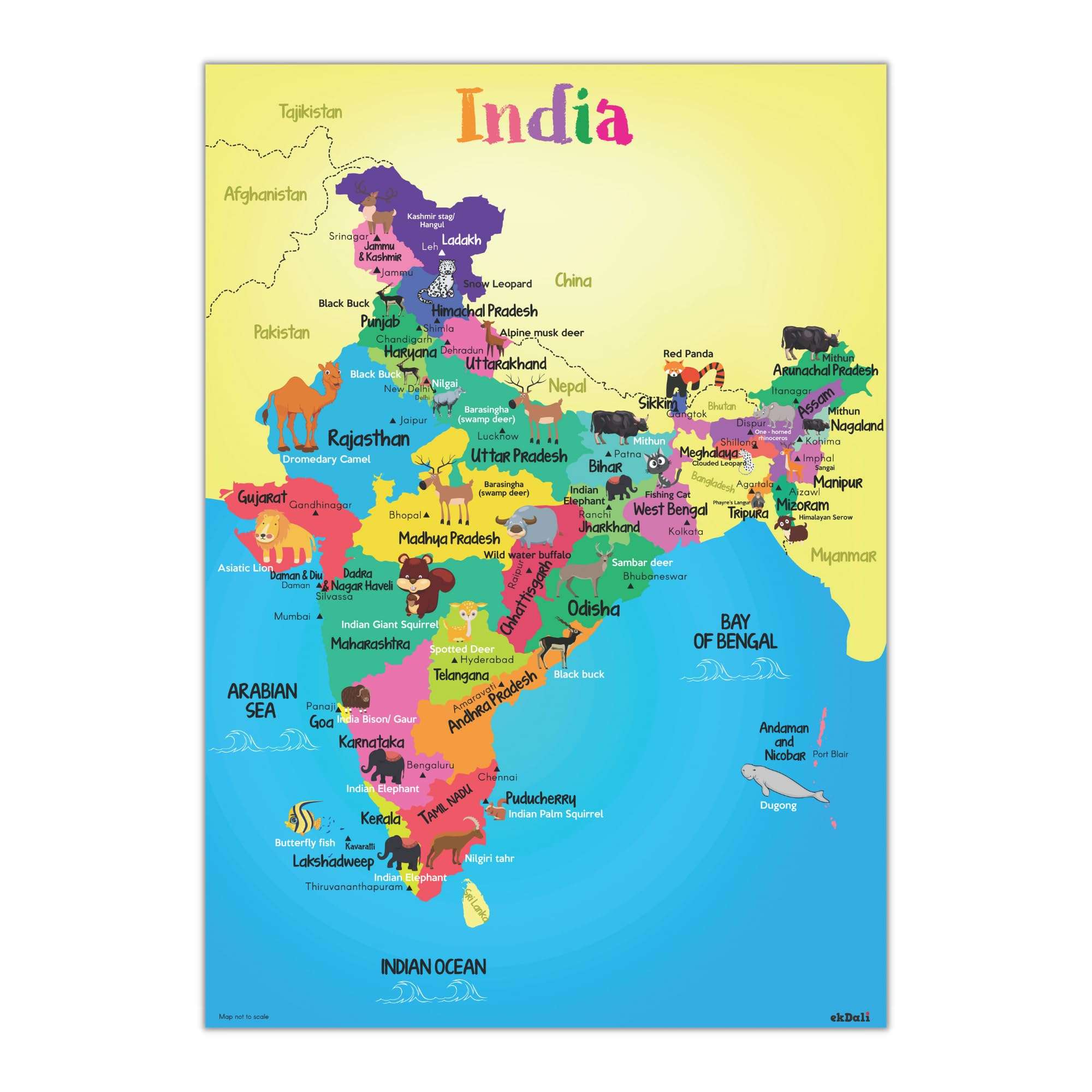 EKDALI India States of India Map with Animals Poster for Kids | Educational Learning India | india map for kids for Kids, Boys, Girls & Children Size :-16.5 X 23.4 inches (Multicolor) 1