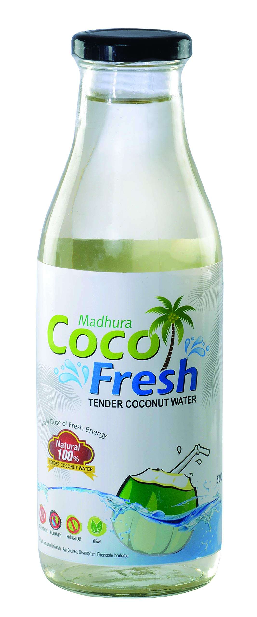 Madhura CocoFresh Natural Tender Coconut Water , 500 ml (Glass Bottle Pack of 6) 1