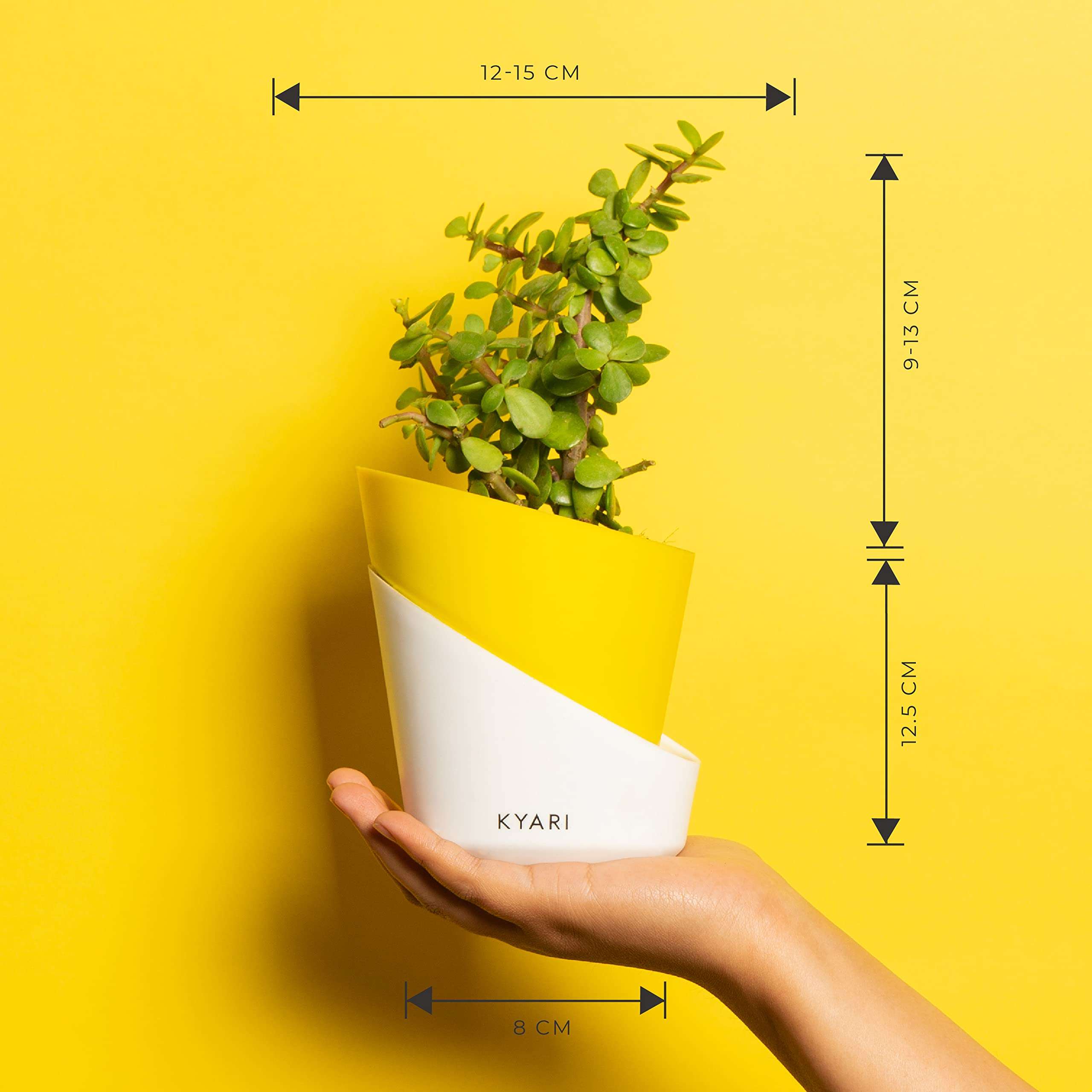 KYARI Jade Indoor Plants for Living Room | Live Plants | Plants with Lemon Yellow Pot for Home | Air purifier plants | Plants for Home Decor | Plants for garden | Indoor Plants for bedroom 6