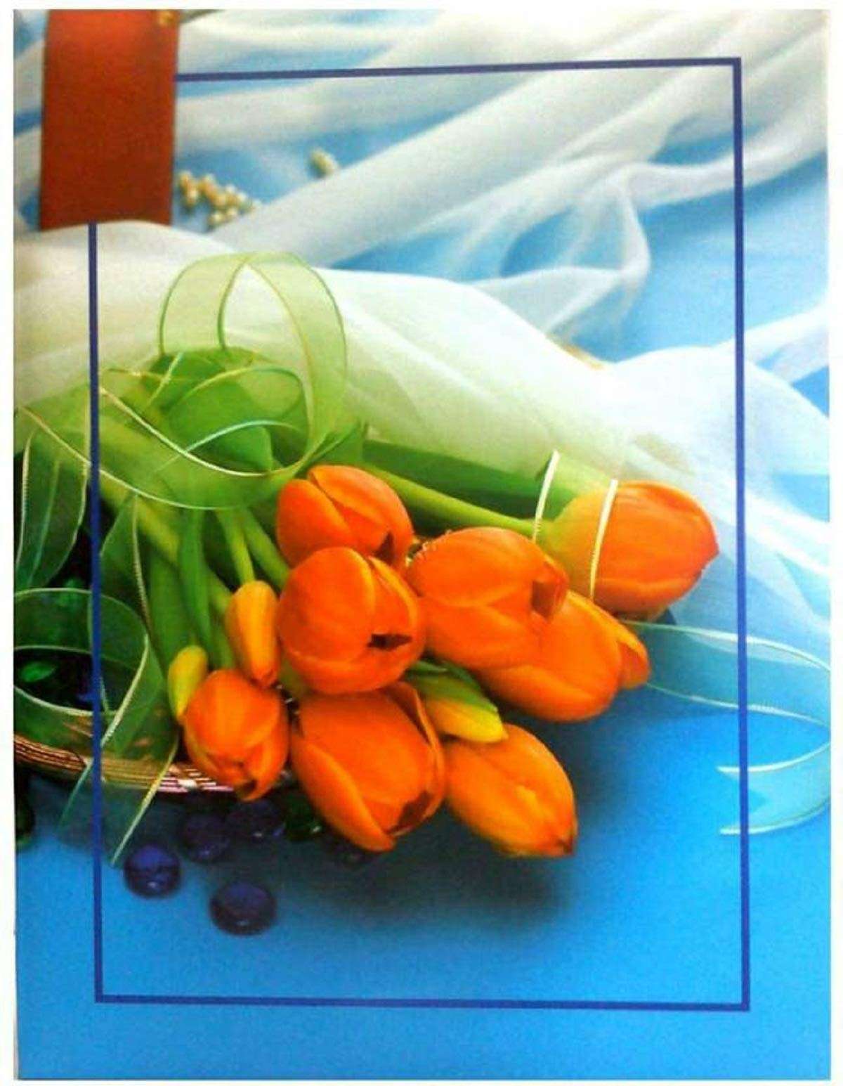 CSN - CUTE SHOPPING NETWORK Natraj Series Portable (Mini) Photo.Album with Extra Clear PVC Film 100 Photos (Photo Size Supported: 4x6 Inches, Multicolour) 1