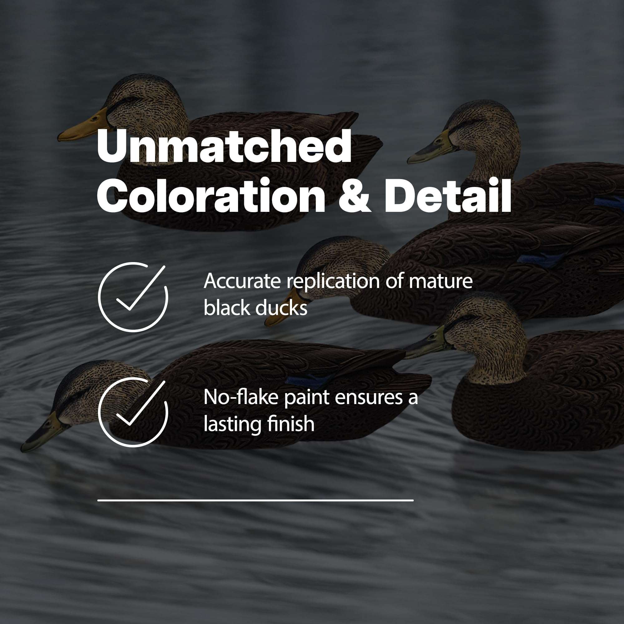 Avian X Topflight Black Realistic Duck Decoy Sets with Flocked Bodies, 6 Unique Postures, Weight Forward Swim Keel, & Durable No Flake Finish 3