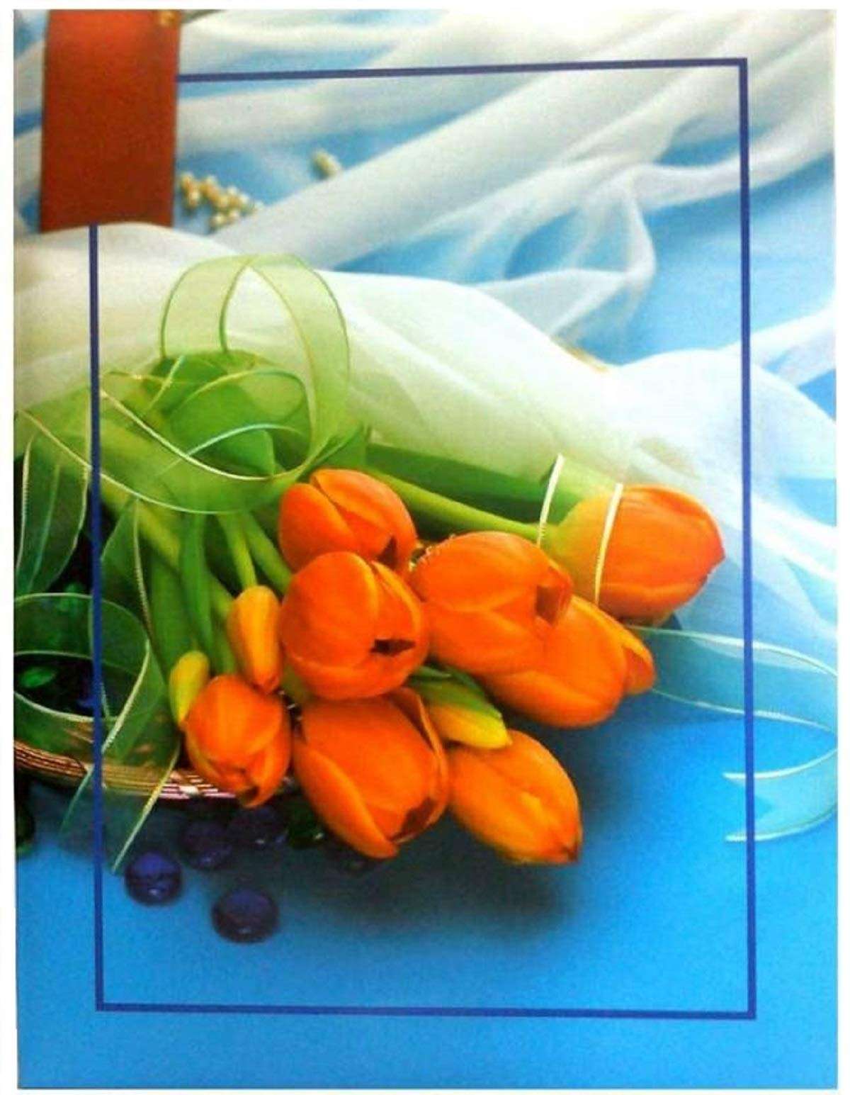 CSN - CUTE SHOPPING NETWORK Natraj Series Portable (Mini) Photo.Album with Extra Clear PVC Film 100 Photos (Photo Size Supported: 4x6 Inches, Multicolour) 2