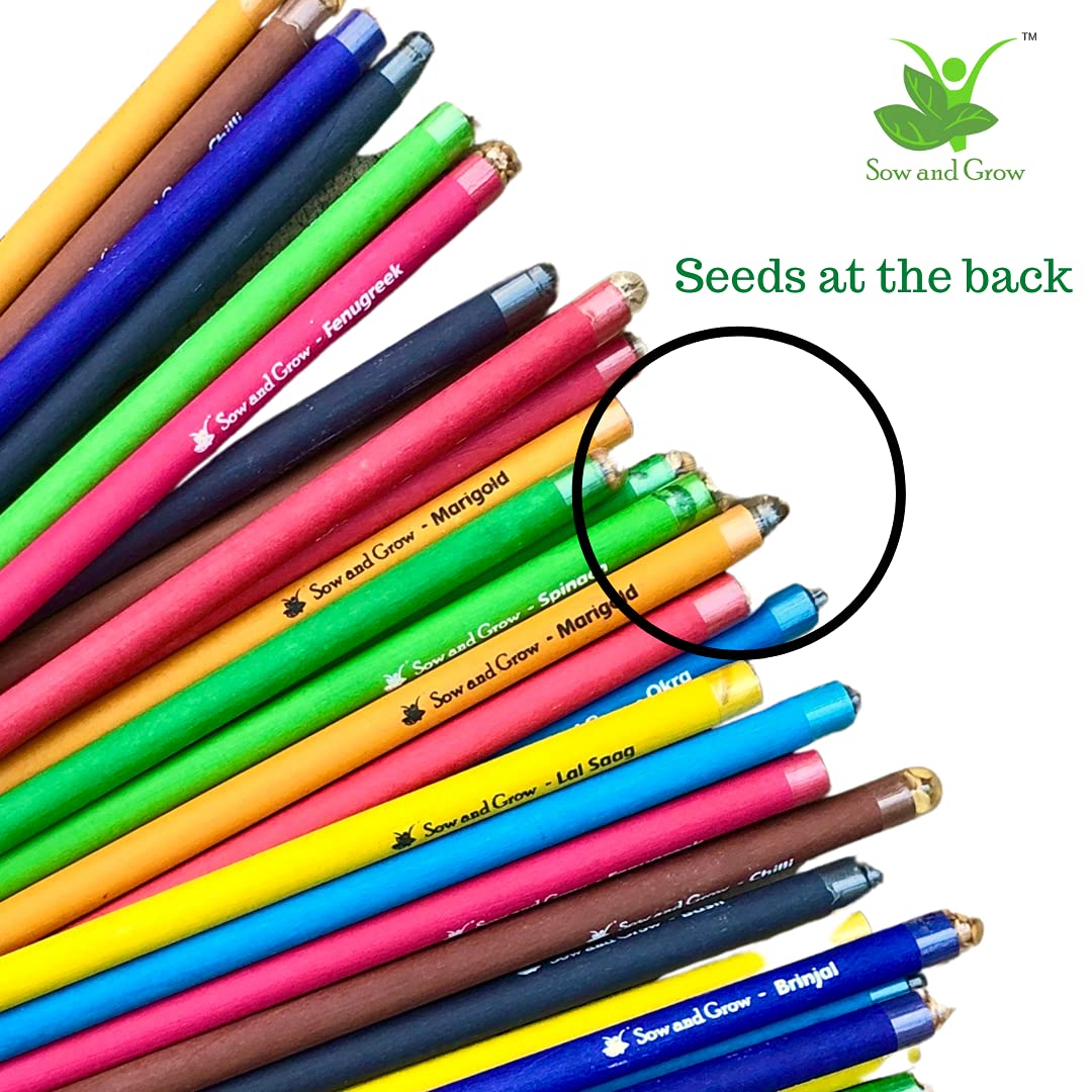 Sow and Grow Box Of 50 Plantable Seed Pencils|Eco Friendly Gift Pack|Jute Pouch Bulk Packaging|Grow Plants From Pencils|Green 3
