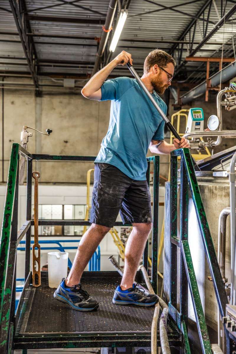 Dickies Men's Dri-tech Moisture Control No Show Socks (6 & 12 Pairs), Black (6 Pairs), Shoe Size: 13-15 2