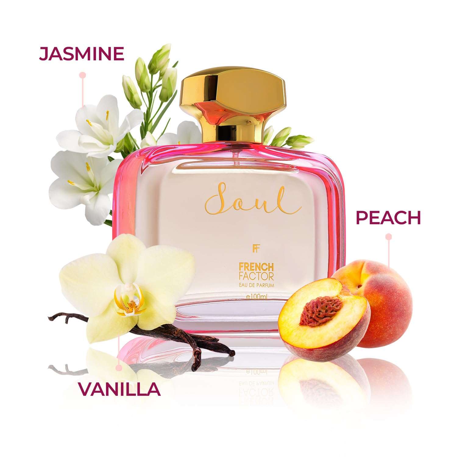 French Factor Soul Luxury Perfume For Women Long Lasting Eau De Parfum With Floral And Musk Notes Gift For Girls Made in India (Pack of 1, 100ml) 3