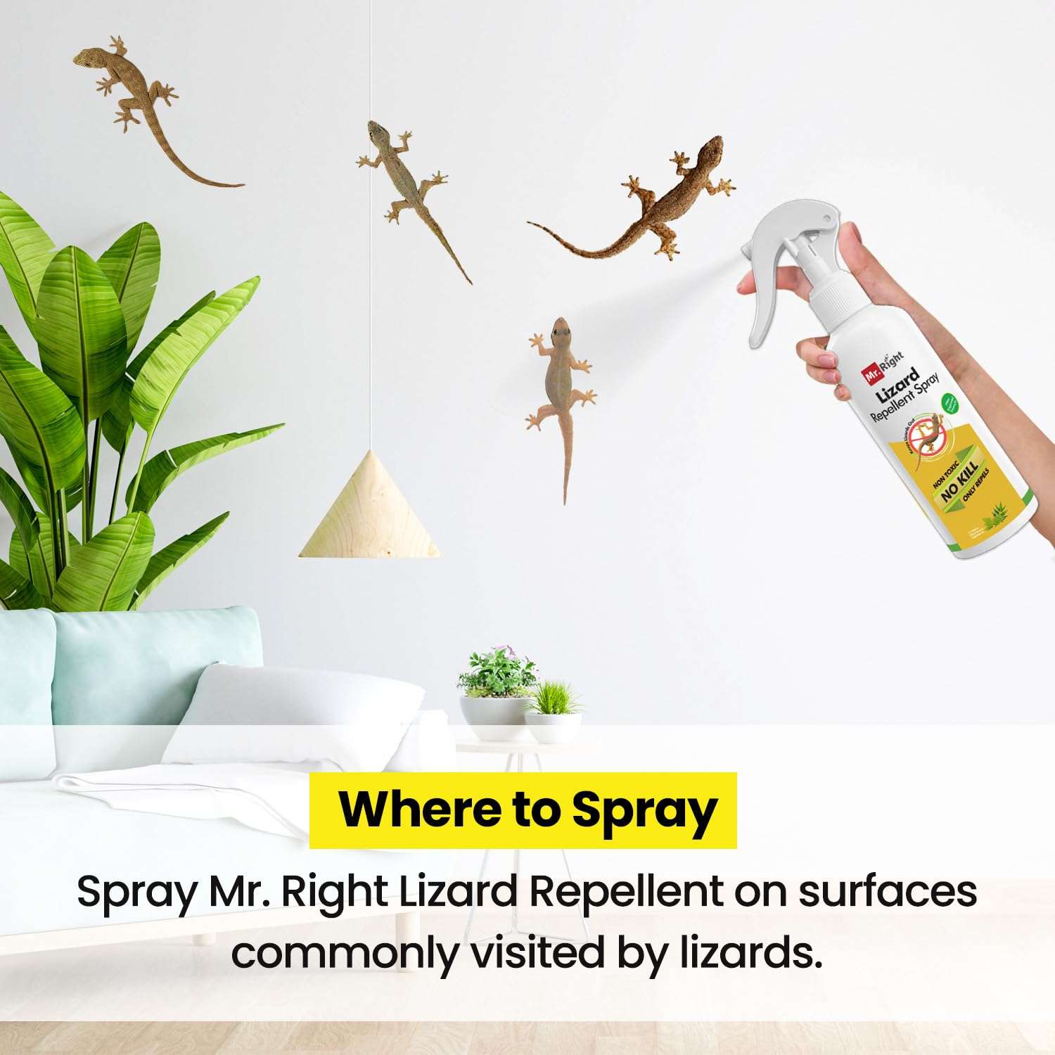 Mr. Right Herbal Lizard Repellent Spray (200 ml) 5