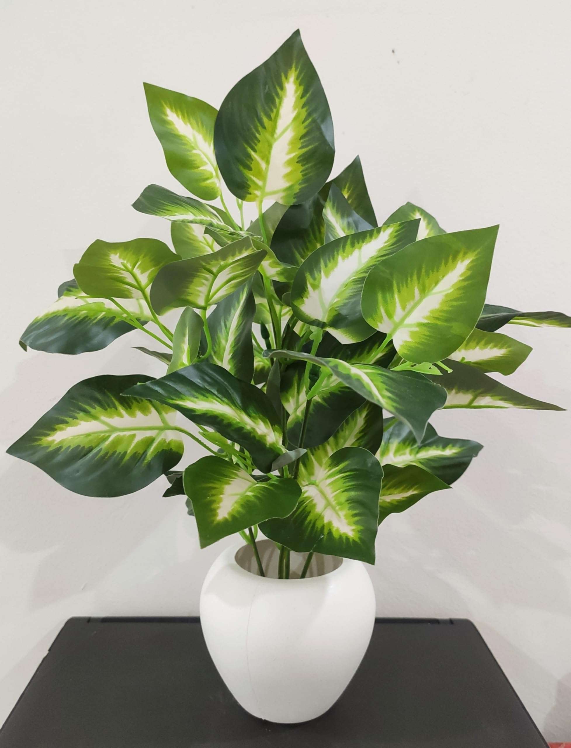 BAARIG Natural Looking Artificial Money Plant/Tree with Pot | Ornamental Plant for Interior Decor | Home/Shop/Office Décor (Green-White) 5