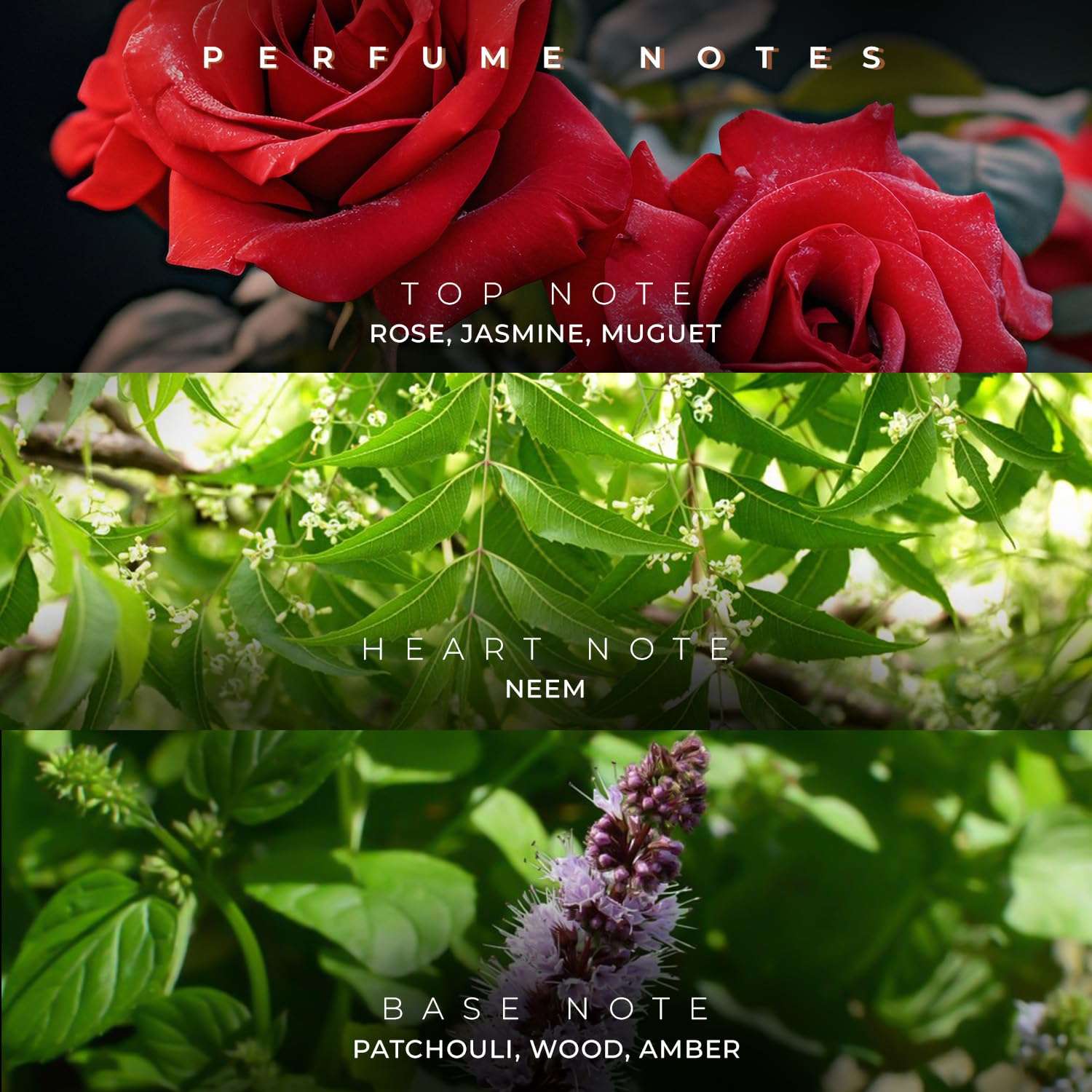 French Factor Soul Bliss Luxury Perfume For Women Long Lasting Eau De Parfum Fruity And Floral Scent Valentine Gift For Girls Made in India (Pack of 1, 100ml) 6