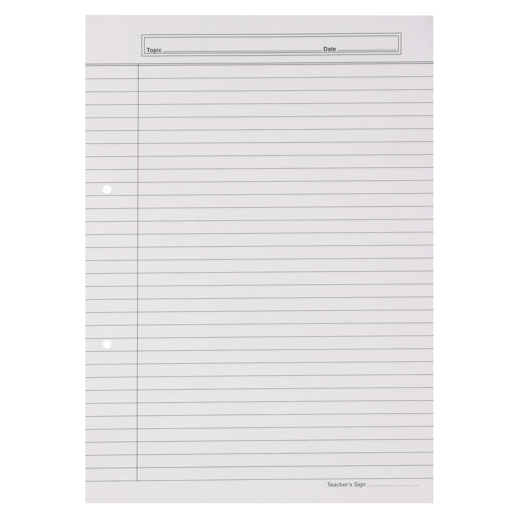 SNOW CRAFTS A4 Size Both Side Ruled Sheet for Project/Assignment/Practical/Homework with Punch Sheets (A4-100 SHEETS) 2