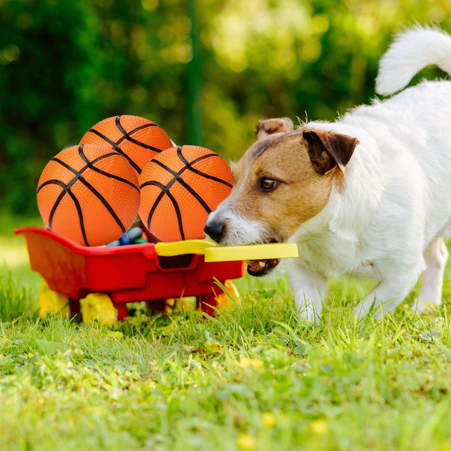 Gejoy 3 Packs 7 Inch Mini Inflatable Basketballs Plastic Replacement Basketballs Mini Toy for Teens Adults Indoor/Outdoor Sports Beach Pool Game Party Supplies 4